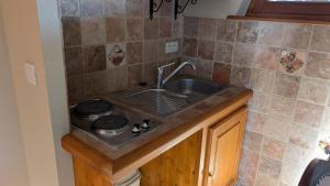 eine Küche mit Spüle und Herd in der Unterkunft Les Perles du Ried - Gîte 207 in Boofzheim + 17 Fotos