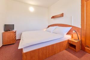 a bedroom with a large bed and a tv at Garnet Penzion in Olomouc