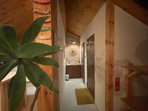 une plante en pot dans un couloir d'une maison dans l'établissement LaniKai Full oceanview stay, à Namae-ri 21 autres photos