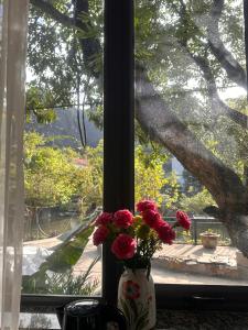 a vase filled with red flowers sitting in a window at Tràng An Riverbank Homestay in Nguyên Ngoại