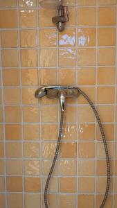 einem Duschkopf in einem Bad mit braunen Fliesen in der Unterkunft Les Perles du Ried - Gîte 208 in Boofzheim