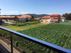 a field of crops with buildings in the background at Apartamentos Lanceata I in A Lanzada