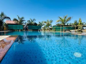 a large swimming pool with blue water and palm trees at Alpine Resort in Sibsāgar