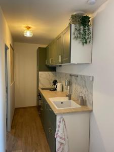 eine Küche mit grünen Schränken und einem Waschbecken in der Unterkunft Le petit cosy in Saint-Paul-Trois-Châteaux