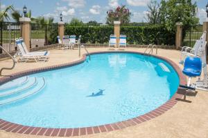 a swimming pool with a shark in the water at Super 8 by Wyndham Sealy in Sealy