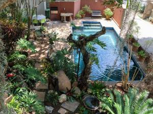 Πισίνα στο ή κοντά στο Willow Inn