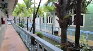 eine Reihe von Palmen neben einem Zaun in der Unterkunft Mawanza Hotel Langkawi in Langkawi Islands