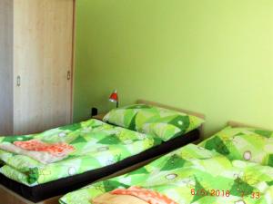 dos camas sentadas una al lado de la otra en un dormitorio en Penzion Ubytování Květinová, en Křelov