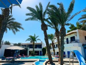 Swimmingpoolen hos eller tæt på New Sphinx Dahab