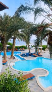 Swimmingpoolen hos eller tæt på New Sphinx Dahab