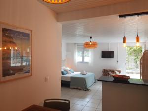 Μια τηλεόραση ή/και κέντρο ψυχαγωγίας στο Villa Ti Kay Paradi - Accès plage direct