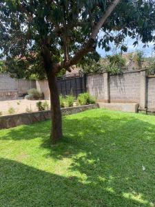 Κήπος έξω από το Kira