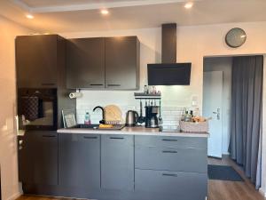 une cuisine avec des placards gris et un comptoir dans l'établissement Where Business and Relaxation meet, à Heerserheide