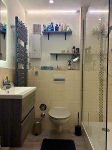 une salle de bain avec toilettes, lavabo et douche dans l'établissement Where Business and Relaxation meet, à Heerserheide