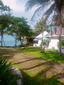 ein Haus am Strand mit Palmen in der Unterkunft John Lhea Beach Cottages in Siquijor