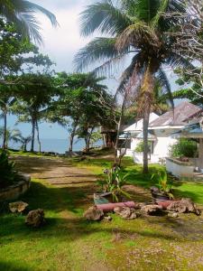 einen Hof mit Palmen und einem Haus in der Unterkunft John Lhea Beach Cottages in Siquijor