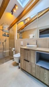 ein Badezimmer mit Waschbecken, Toilette und Dusche in der Unterkunft Apartman San Zuian in Bale