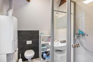 a bathroom with a shower and a toilet and a sink at Schönes Ferienhaus Am Twistesee in Bad Arolsen