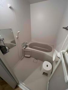 a small bathroom with a toilet and a sink at ペット可最大6名福井駅徒歩20分民泊 ピーチジョー足羽 in Fukui