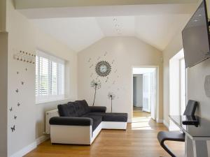 Μια τηλεόραση ή/και κέντρο ψυχαγωγίας στο Miners Meadow