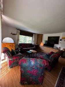 a living room with couches and a flat screen tv at Chalet Sofia in San Vito di Cadore