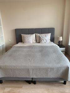 Postel nebo postele na pokoji v ubytování Sunny Lotus Apartamentai