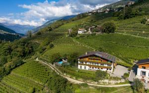 - une vue aérienne sur une maison sur une colline avec des vignes dans l'établissement Petaunerhof, à Schenna