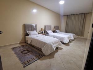 Una cama o camas en una habitación de Appartement a Louer Laayoune