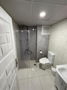 um banheiro com chuveiro, vaso sanitário e pia em Nigrum Nova em Nevşehir