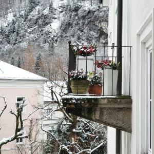 a balcony with two potted flowers on a building at Boutique & Design Hotel AUERSPERG in Salzburg