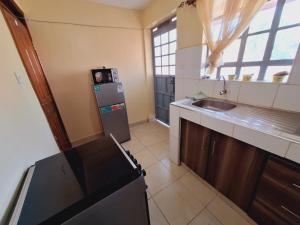 Kuchyň nebo kuchyňský kout v ubytování Umoja House