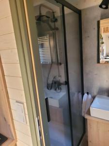 a bathroom with a shower and a sink at KE-Tiny-Siedlung Haus Buddy in Oerlenbach +27 photos