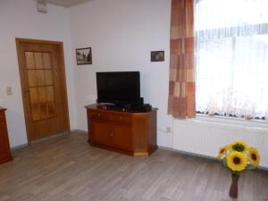 ein Wohnzimmer mit einem Fernseher, einem Fenster und einer Blume in der Unterkunft Ferienwohnung im Vierseitenhof in Annaberg-Buchholz