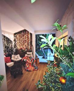 ein Wohnzimmer mit Hängesesseln und ein Zimmer mit Pflanzen in der Unterkunft Winter holidays in Holiday home Olive garden Platinum in Posedarje