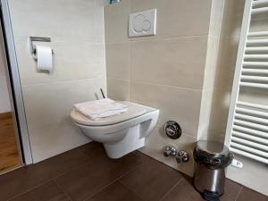 a bathroom with a toilet and a shower at Kaprun 1 in Kaprun +4 photos