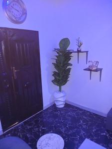 a room with a plant in a pot next to a door at Gigiswhitehouse in Cardoso