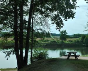 a picnic table sitting next to a lake at Chez domi piscine résidence claire rive in Prayssac