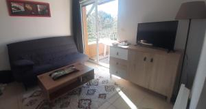 TV a/nebo společenská místnost v ubytování Résidence Claire Rive appartement 16