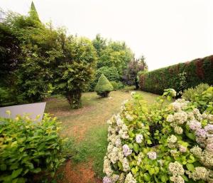 un jardin avec des fleurs et des buissons, et un arbre de Noël dans l'établissement Maison confortable et calme, à Lens