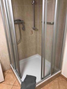 a shower with a glass door in a bathroom at Pension Ute in Strehla