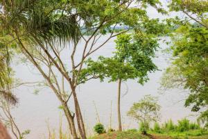 Φυσικό τοπίο κοντά σε αυτό το ξενοδοχείο