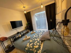 TV/trung tâm giải trí tại Przystań Letnica