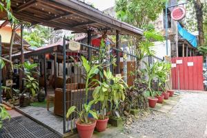 a group of potted plants in front of a store at Bulskamp Inn in El Nido