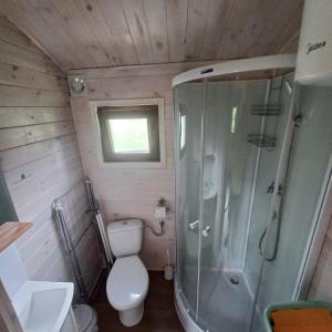 ein kleines Badezimmer mit Toilette und Dusche in der Unterkunft Domki Słoneczny Brzeg in Dąbki