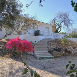 Zahrada ubytování Charming Country House