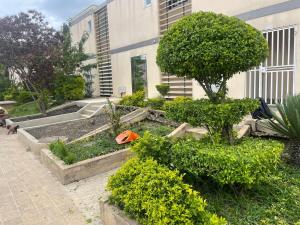 a garden with a tree and bushes in front of a building at GuestHouse16 in Kuito
