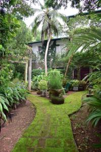 Κήπος έξω από το Derana Villa Hikkaduwa