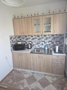Kuchyň nebo kuchyňský kout v ubytování Studio apartman BF