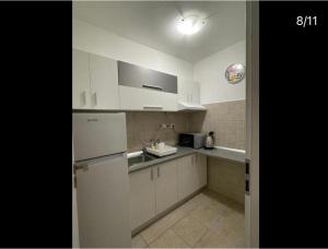 Η κουζίνα ή μικρή κουζίνα στο Circumvalațiunii Studio +15 φωτογραφίες