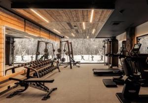 a gym with rows of tread machines and a mural at Giewont View Sośnica Residence & Spa in Zakopane